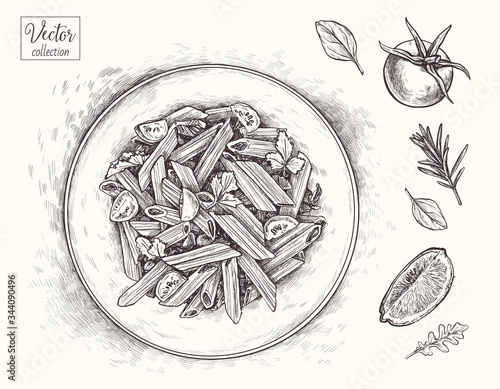 Italian pasta, lemon slice, Pasta with Tomatoes, tomato, rosemary. Vector Hand Drawn. Sketch Botanical Illustration. Collection of vegetables. Eco healthy food.
