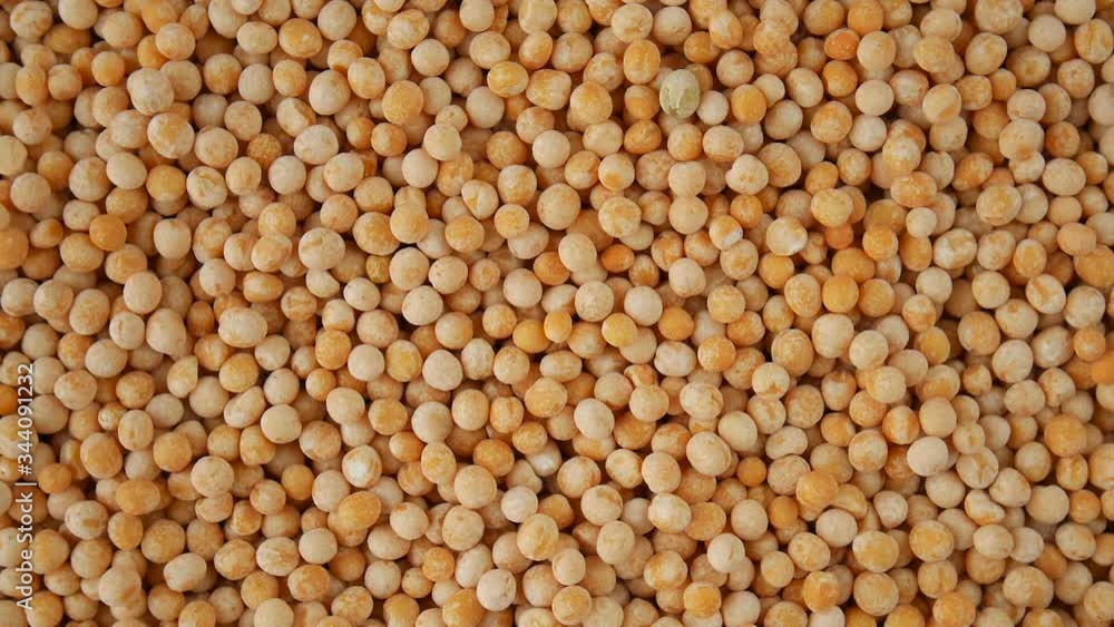Rotation of a dried yellow peas (background) Rotation of a dried yellow peas (background)