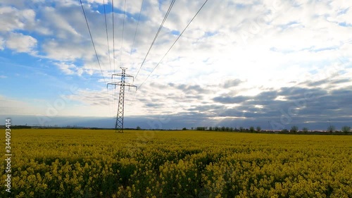 Timelapse of rapsmark close to sunset, south Sweden spring time photo