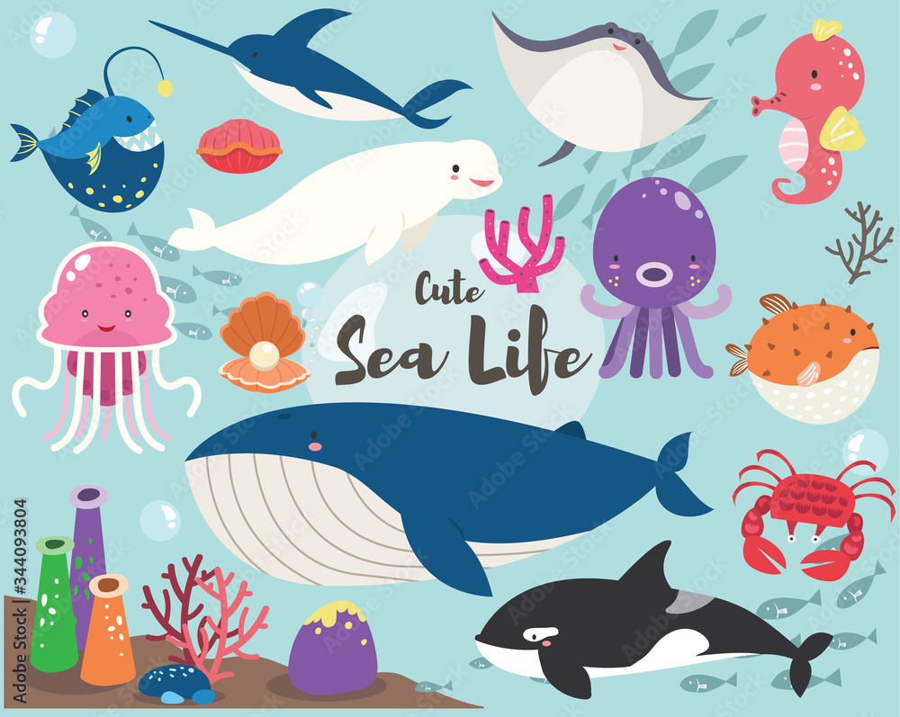Cute Sea Life Collection Set Cute Sea Life Collection Set