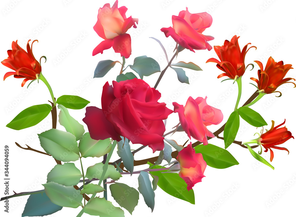 bunch of five roses and four red flowers isolated on white bunch of five roses and four red flowers isolated on white