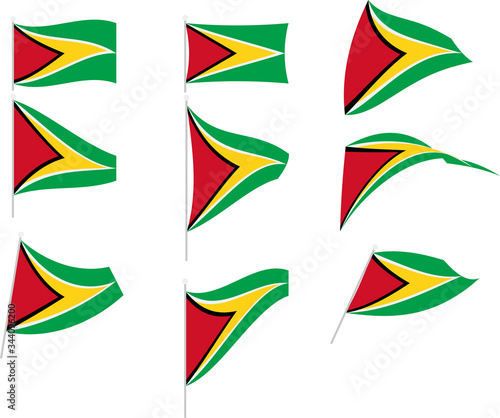 Vector Illustration of Set with Guyana Flag