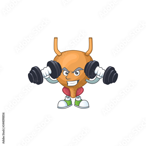 Fitness exercise bladder cartoon character using barbells