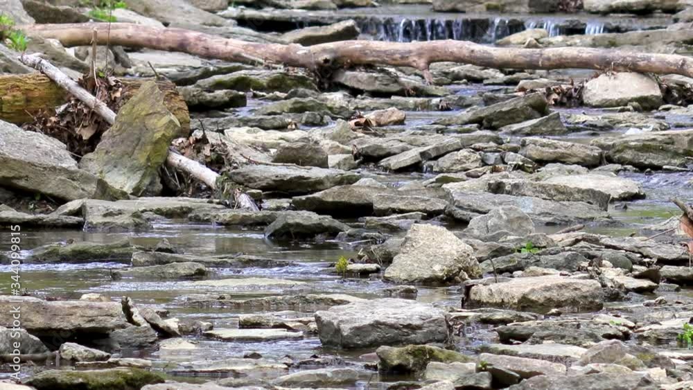 Fast moving creek of water full of rocks with a small waterfall Fast moving creek of water full of rocks with a small waterfall