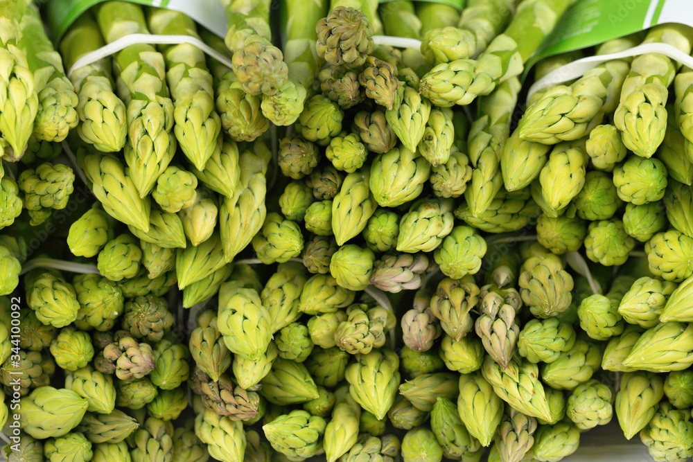 Bunches green asparagus, vegetable texture. Organic food. Bunches green asparagus, vegetable texture. Organic food.