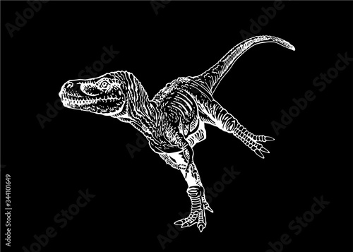 Graphical sketch of raptor isolated on black background,vector engraved illustration, dinosaur