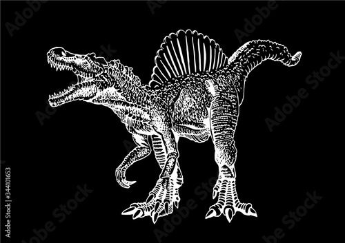 Graphical sketch of spinosaurus isolated on black background,vector engraved illustration, dinosaur
