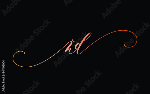 nd or n, d Lowercase Cursive Letter Initial Logo Design, Vector Template photo
