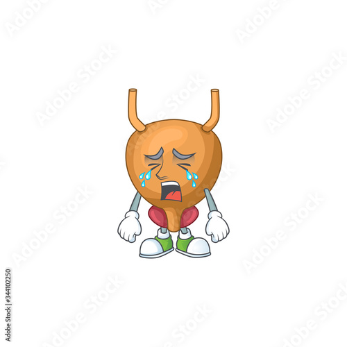 A weeping bladder cartoon character design concept