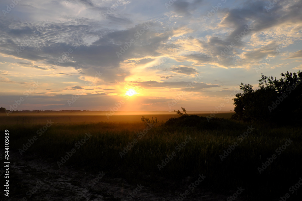 Beautiful sunset in the field. Cloudy sky. Landscape. Beautiful sunset in the field. Cloudy sky. Landscape.