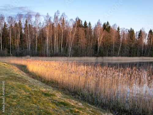 spring landscape with lake at sunrise, beautiful spring morning