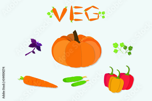 Set of vector organic vegetables and herbs. Pumpkin, carrot, cucumber, pepper, basil and cilantro. photo