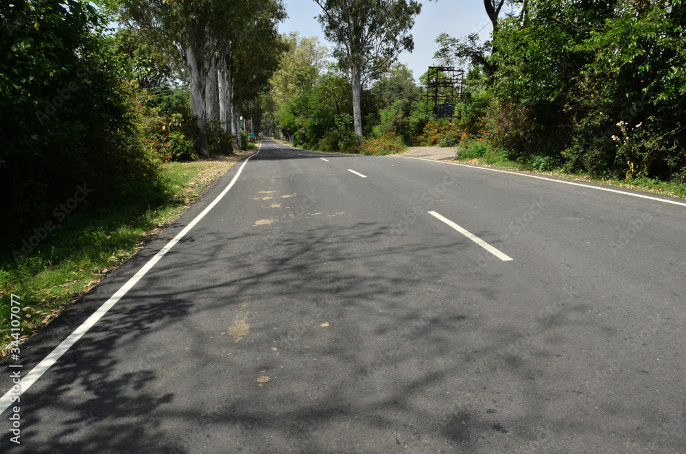 Empty Road in Jungle of Himachal Pradesh India 05