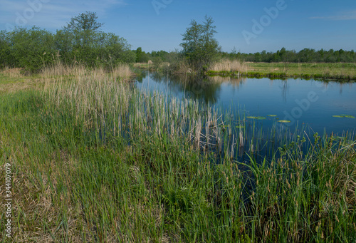 Canals and lakes. National Park Weerribben-Wieden Netherlands Steenwijkerland. Spring. Overijssel.