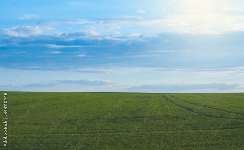 Green field on the horizon. Blue sky.