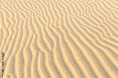 Gold desert in sunset. Canary Islands, Canaries. Grand Canary. Maspalomas, Resort Town