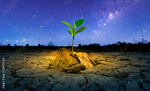 Brown drought dry land soil or cracked ground texture and green tree with from agriculture barren on star and blue sunset sky background, Global warming.