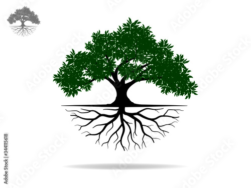Trees with green leaves look beautiful and refreshing.Tree and roots LOGO style.