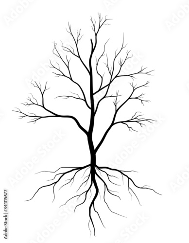 Black Branch Tree or Naked trees and root silhouettes set. Hand drawn isolated illustrations.