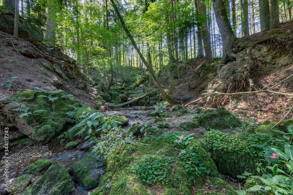 Fototapeta premium Amering, Ameringer Graben, Stubenberg, Landkreis Rottal-Inn, Niederbayern, Bayern, Deutschland, Geotop, Naturdenkmal, Sehenswürdigkeit
