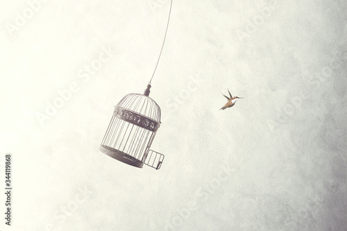 Behang little bird flying out of a birdcage