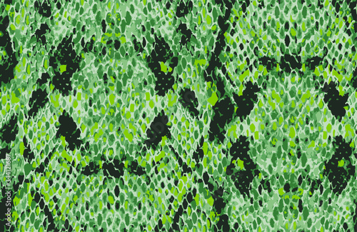 Snake skin pattern, vector illustration