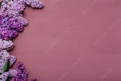 lilac flowers blooming in spring on a burgundy background