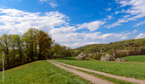 View of springtime landscape in Odenwald with hills, meadows, blooming apple trees, sky, clouds and a curved trail near Rippenweier, Weinheim, Baden-Württemberg in Germany, Europe. © doris oberfrank-list