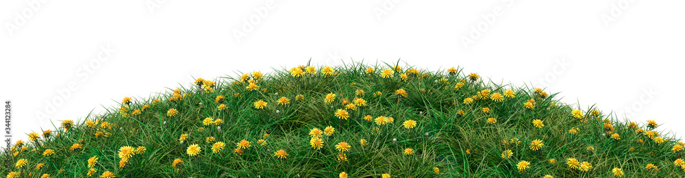 Grassy hill with dandelions isolated on a white background. 3d image Grassy hill with dandelions isolated on a white background. 3d image