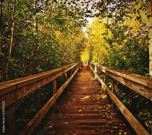 Valokuva Footbridge Amidst Trees