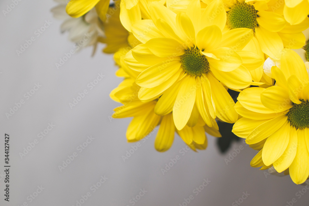 Background with an inscription field and a bright bouquet of gerberas in the corner. A bouquet of gerberas, creating an upbeat spring mood. Background with an inscription field and a bright bouquet of gerberas in the corner. A bouquet of gerberas, creating an upbeat spring mood.