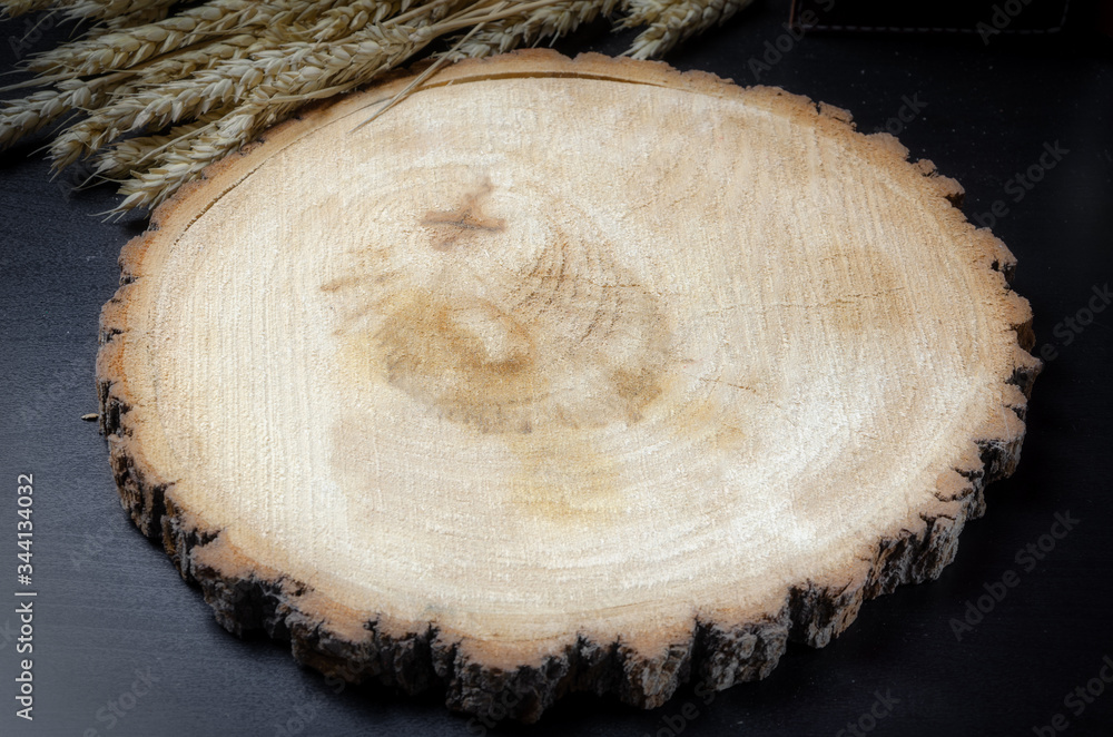 empty round saw cut tree on dark background with place for text. Empty space for the item. Angle view empty round saw cut tree on dark background with place for text. Empty space for the item. Angle view