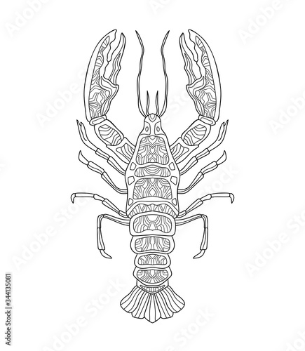 Hand draw crayfish (cancer) with different pattern on white isolated background. River animal. For coloring book pages.