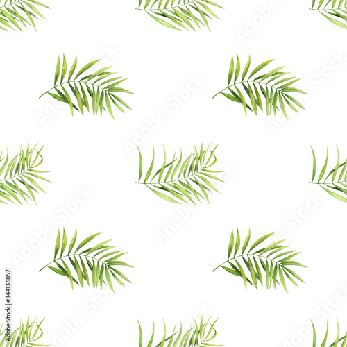 Seamless pattern of green palm leaves on a white background. Elements are drawn in watercolors.