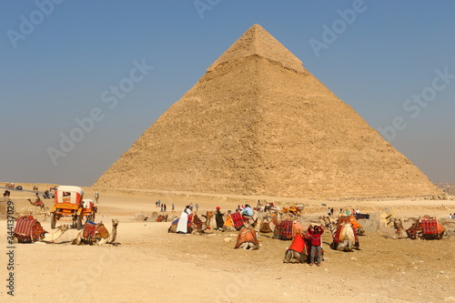 Camels wait for tourists in front of the Pyramid of Khafre