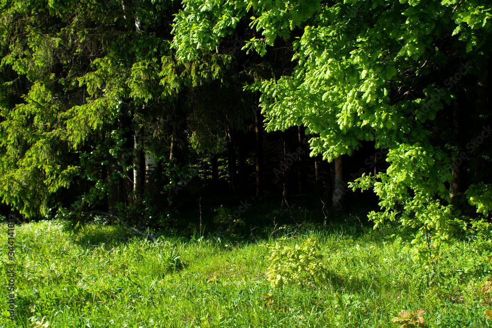 Summer weather in the field.