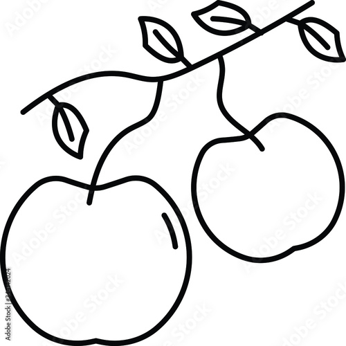 fruit