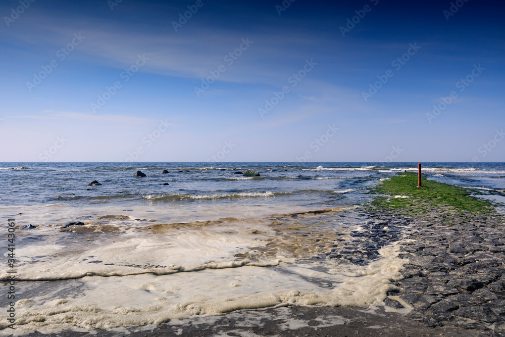 Obraz premium polluted algae foam washes up along the Dutch coast; The Hague, Netherlands