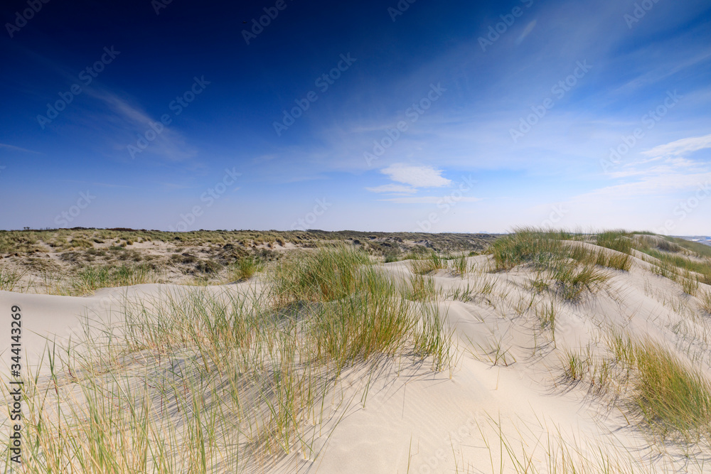 sand dunes along the Dutch coast near The Hague; Kijkduin, Netherlands sand dunes along the Dutch coast near The Hague; Kijkduin, Netherlands
