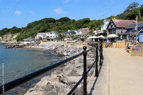 Fototapeta A view of Steephill Cove near Ventnor on the Isle of Wight, England