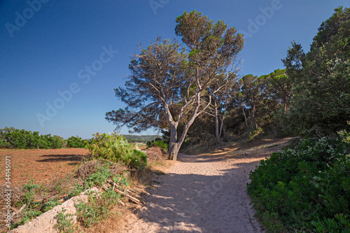 Panoramic view of a dirt road on the island of Menorca in Spain.