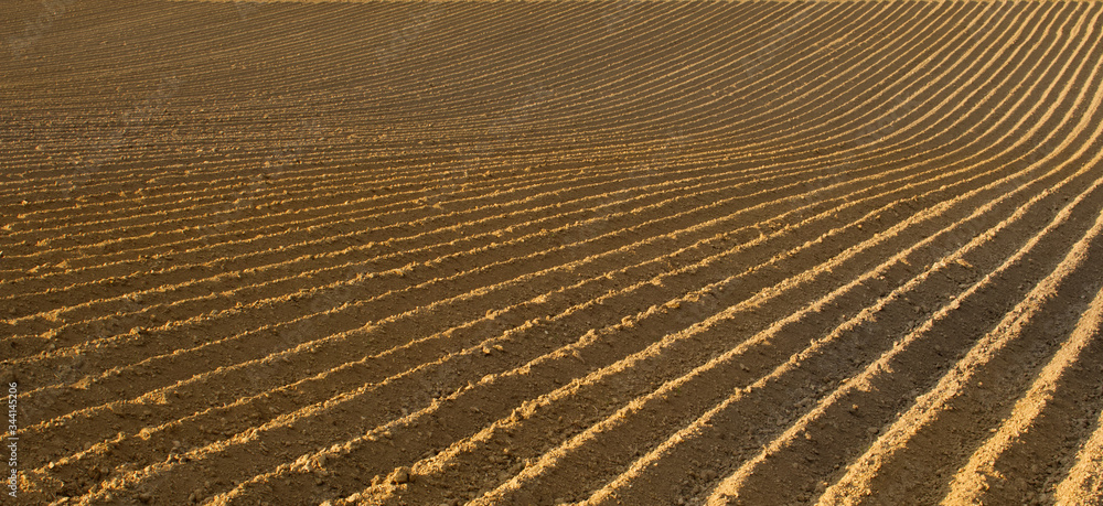 Naklejka premium Zaorane pole