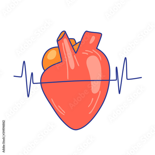 Vector flat illustration of heart with heartbeat line across it, isolated on white background