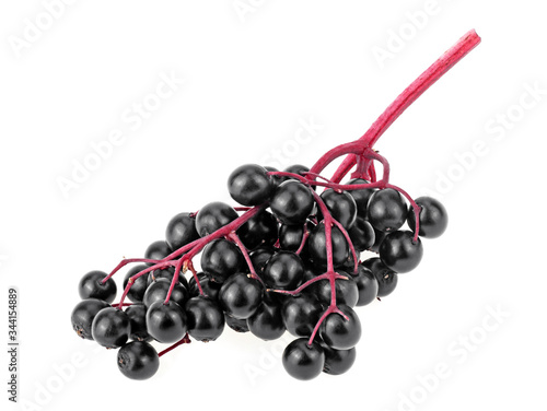 Elderberries with twig isolated on a white background. Black elderberry fresh fruit. Sambucus.