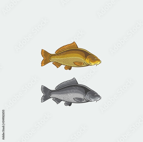 carp color