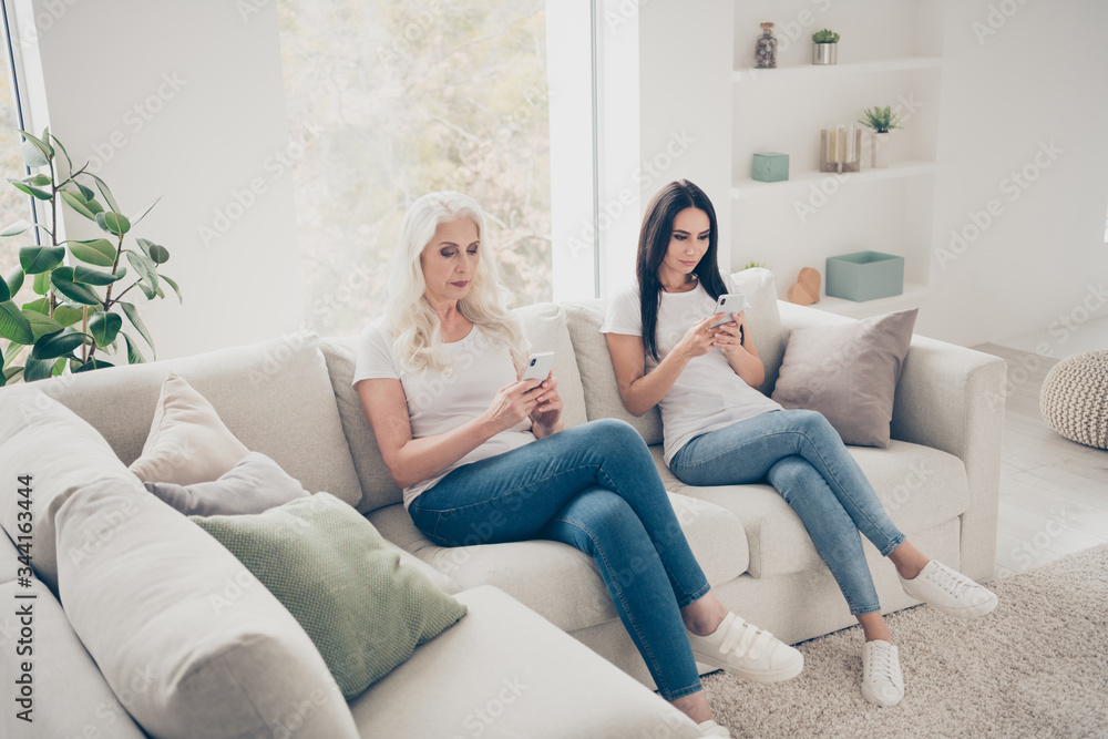 Portrait of two nice attractive lovely pretty focused serious women using cell browsing web site dating service sitting on divan in light white interior room house flat apartment