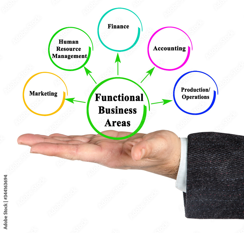 Presenting Five Functional Business Areas Presenting Five Functional Business Areas