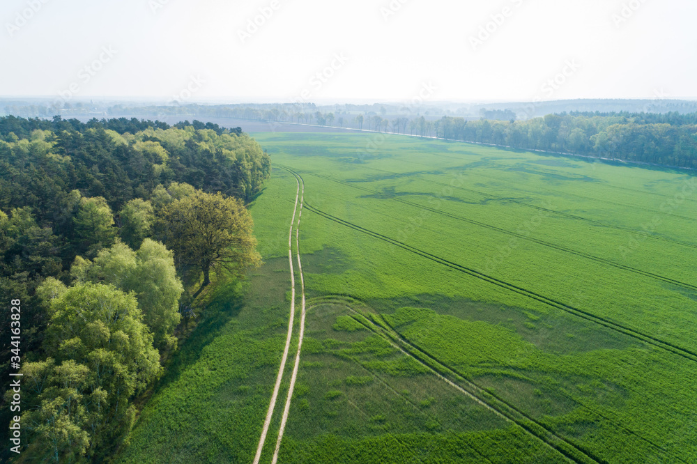 Landschaft mit Feldern in Norddeutschland