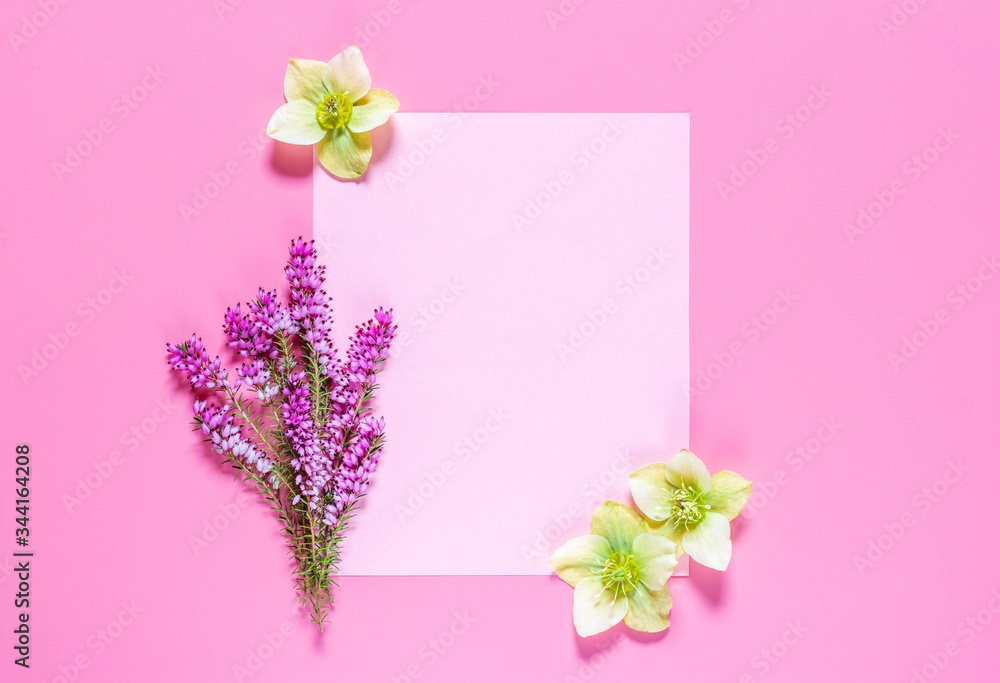 Composition of spring flowers, paper blank on a pink background.  Flat lay, top view. Minimal concept. Greeting card.