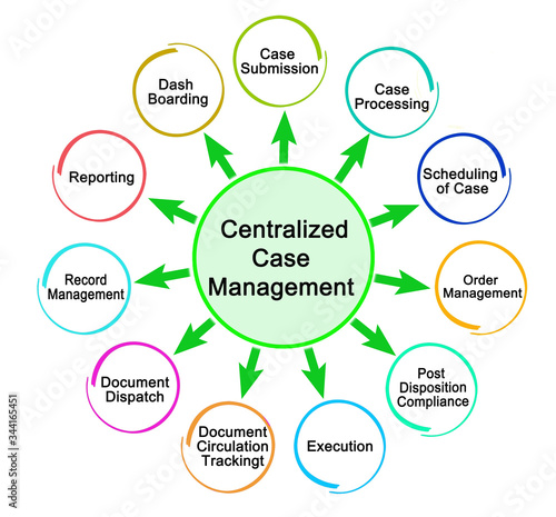 Components of Centralized Case Management.